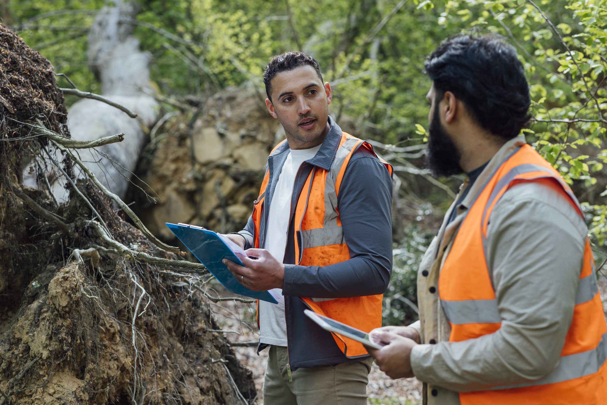 Two men discuss fallen tree in forest