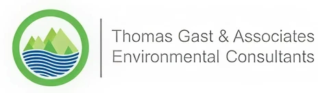 Green and blue environmental consulting symbol